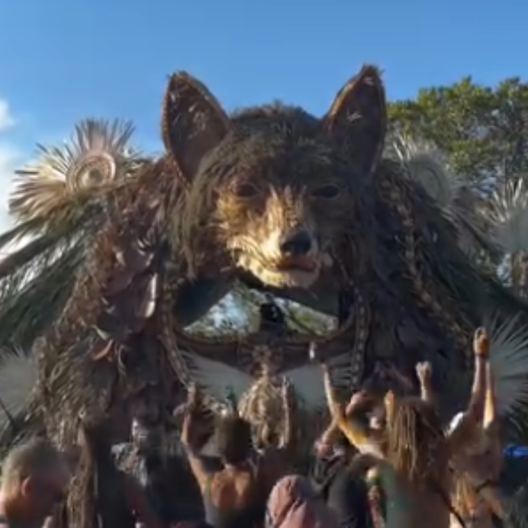 O @torusfestival movimentou a virada do ano na comunidade da Raposa, na Chapada Diamantina, e reuniu participantes de várias partes do Brasil para uma imersão entre música, arte, c