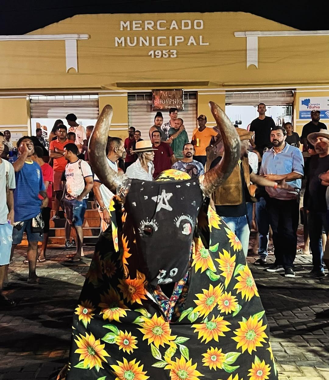 Tradição cultural de Iramaia, Boi Janeiro será realizada a partir do dia 5 de janeiro